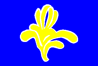 [Flag of the Capital Region of Brussels]