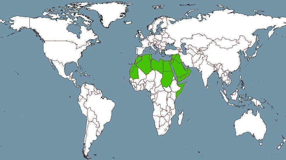 le monde arabe geographie