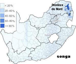 Le songa en Afrique du Sud